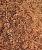 feed_cottonseedmeal